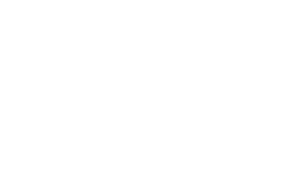 Emblem Summerville Logo